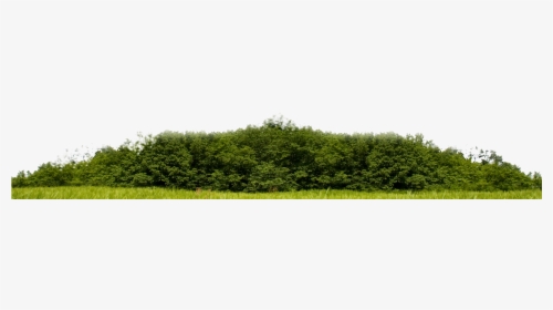 Skyline Nature Png, Transparent Png, Free Download