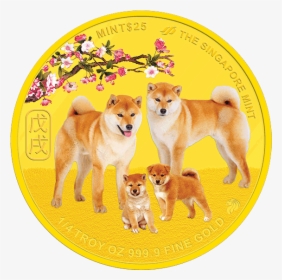 Shiba Inu, HD Png Download, Free Download