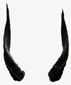Horn Devil Png - Real Devil Horns Png, Transparent Png, Free Download