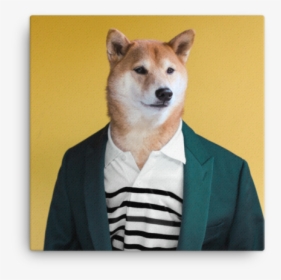 Mensweardog Mellow Yellow Canvas - Menswear Dog, HD Png Download, Free Download