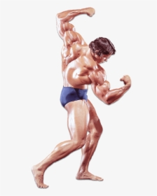 Arnold Schwarzenegger - Historyofbodybuilding - Com - Transparent Body Builder Png, Png Download, Free Download