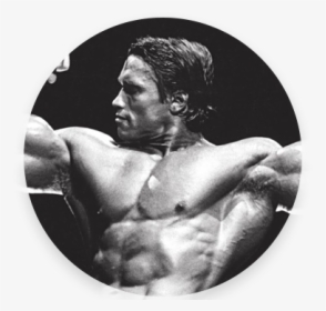 Arnold Schwarzenegger, HD Png Download, Free Download