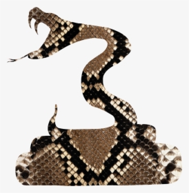 Rattlesnake Vipers Silhouette - Iphone Snake Skin, HD Png Download, Free Download