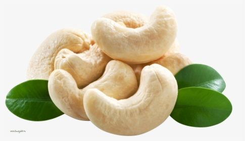 Cashew Nut Png - Cashew Png, Transparent Png, Free Download