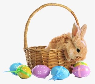 Easter Basket Png Photo Background - Happy Easter With Bunny, Transparent Png, Free Download