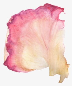 Rose Petal Painting, HD Png Download, Free Download