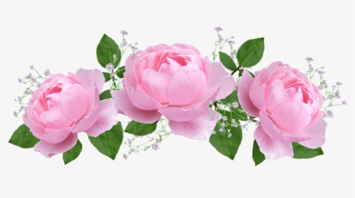 Flower, Floral, Rose, Flora, Petal - Sister Verse, HD Png Download, Free Download