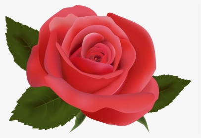 Clipart Roses Aesthetic - Transparent Background Rose Png, Png Download, Free Download