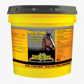 Muscle Building Supplement For Horses - Muscle Tone For Horses, HD Png Download, Free Download