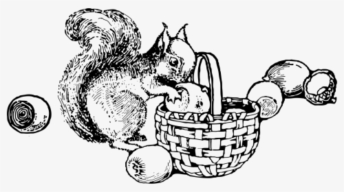 Squirrel And Nuts Clip Arts - Squirrel Gathering Nuts Clipart, HD Png Download, Free Download