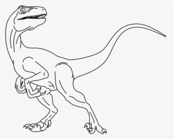 Dinosaurs Drawing Raptor - Dinosaur Raptor Drawing, HD Png Download, Free Download