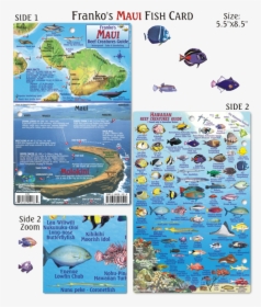 Hawaii Big Island Fish, HD Png Download, Free Download