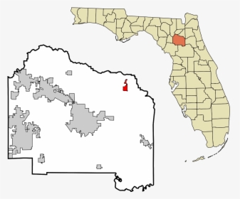 Alachua County Florida, HD Png Download, Free Download