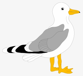 Cartoon Seagull Svg Clip Arts - Gull Clipart, HD Png Download, Free Download