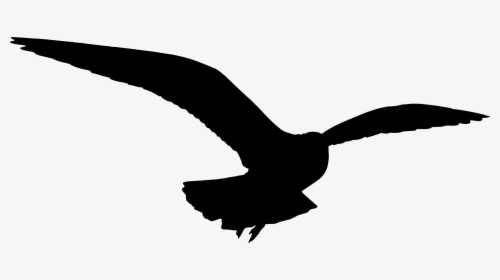 Gulls Bird Silhouette Clip Art - Seagull Silhouette Png, Transparent Png, Free Download