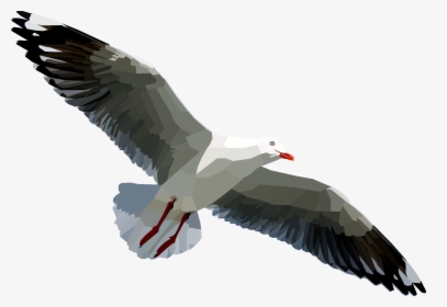 Egyptian Vulture, HD Png Download, Free Download
