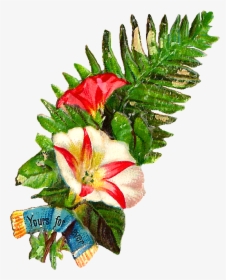 Free Flower Clip Art - Clip Art Images Of Flower Buke, HD Png Download, Free Download