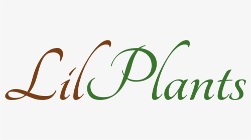 Lilplants, HD Png Download, Free Download