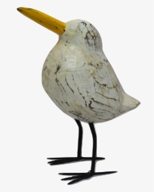 Shorebird, HD Png Download, Free Download