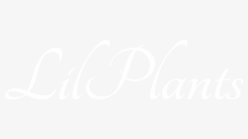 Lilplants - Johns Hopkins White Logo, HD Png Download, Free Download