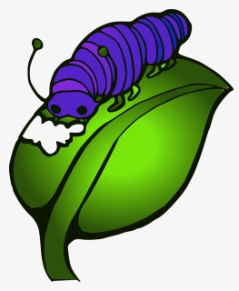 Caterpillar, Leave, Eat, Blue, Green, Hunger - Animasi Ulat Kupu Kupu, HD Png Download, Free Download