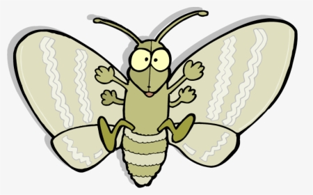 Download Moth Png Picture - Death Of Moth Cartoon, Transparent Png, Free Download