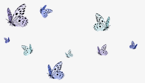 Moth Clipart Tumblr Transparent - Transparent Background Butterflies Png, Png Download, Free Download
