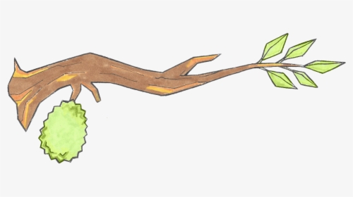 Durian Email Newsletter - Cartoon Old Durian Tree, HD Png Download, Free Download