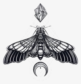 #tattoo #moth #bug #moon #design #drawing #idea #png - Transparent Deaths Head Moth, Png Download, Free Download