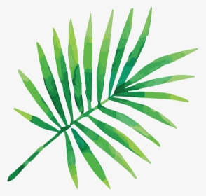 Cropped Bartboard - Tropical Leaves Vector Png, Transparent Png, Free Download