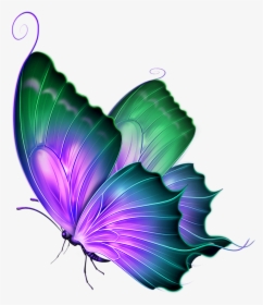 Transparent Background Butterfly Png, Png Download, Free Download