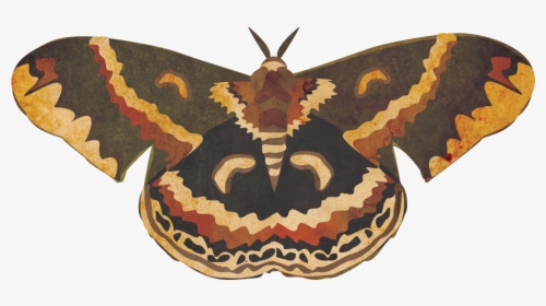 Cecropia Moth Transparent, HD Png Download, Free Download