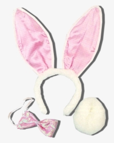 If You Have A Set Of Bunny Ears, That Will Be Fine - Bunny Ears Set Transparent, HD Png Download, Free Download