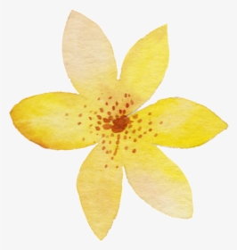 Yellow Watercolor Flower Png Transparent - Yellow Watercolor Flower Png, Png Download, Free Download