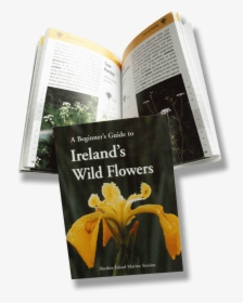 Transparent Wild Flowers Png - Beginner's Guide To Ireland's Wild Flowers, Png Download, Free Download