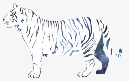 3 Kb, Backgrounds - White Tiger Transparent Background, HD Png Download, Free Download