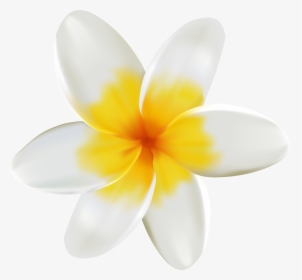 Yellow Flower Clipart Tropical - Plumeria Png, Transparent Png, Free Download