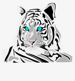 White, Tiger, Stripe - Siberian Tiger, HD Png Download, Free Download