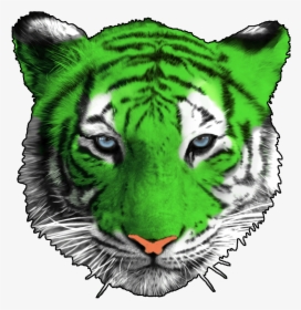 Green Tiger Png - White Tiger Poster, Transparent Png, Free Download