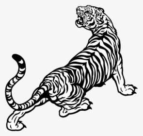 Tigers Drawing Old - Tiger Black And White Png, Transparent Png, Free Download