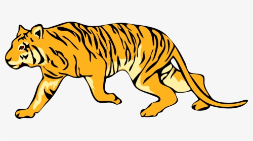 Carnivoran,yellow,lion - Transparent Background Tiger Clipart, HD Png Download, Free Download