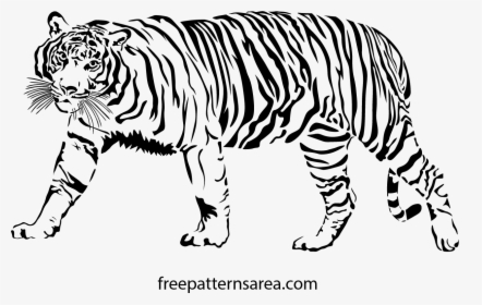 Transparent Tiger Scratch Png - Tiger Drawing Png, Png Download, Free Download