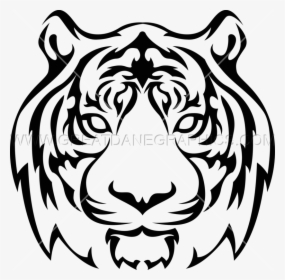 Head Drawing At Getdrawings Com Free For - Face Png Image Tiger Png Transparent, Png Download, Free Download