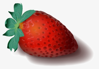 Some Tips In Adobe Illustrator-vector Graphics High - Strawberry, HD Png Download, Free Download