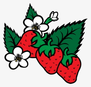 Strawberries Clip Arts - Strawberry Plant Clip Art, HD Png Download, Free Download