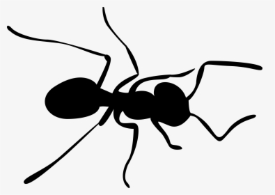 Grab And Download Ants Png Image - Transparent Background Ant Clipart, Png Download, Free Download