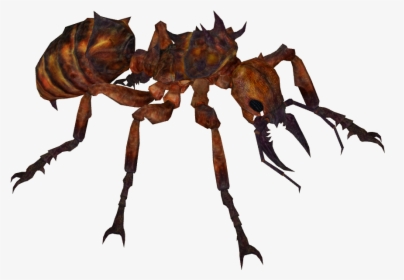 Giant Ant - Giant Ant Png, Transparent Png, Free Download