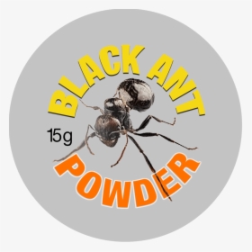 Black Ant Powder Label - Pest, HD Png Download, Free Download
