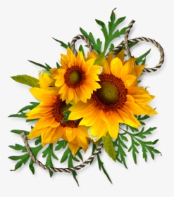 Cheyokota Digital Scraps Transfer Decoupage Kwiaty - Transparent Background Sunflower Clipart, HD Png Download, Free Download
