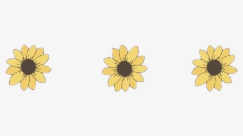 Transparent Aesthetic Flower Png Simple Aesthetic Drawing
